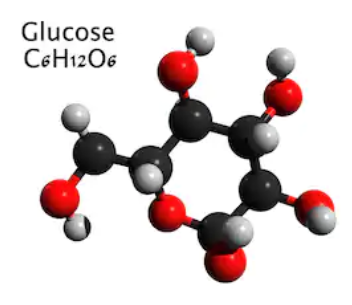 Ball-and-stick model is shown for glucose.