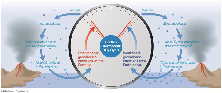 The C O 2 cycle acts as Earth’s thermostat.