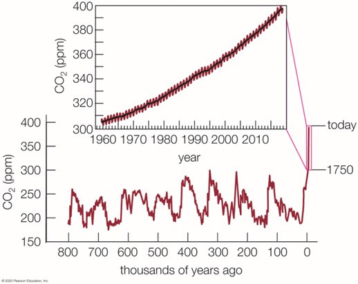 Graphs plot C O 2 in parts per million over time.