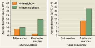 Two bar graphs show the average biomass.