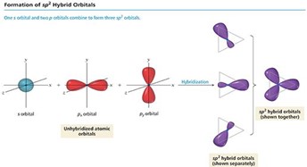 Hybrid orbitals.