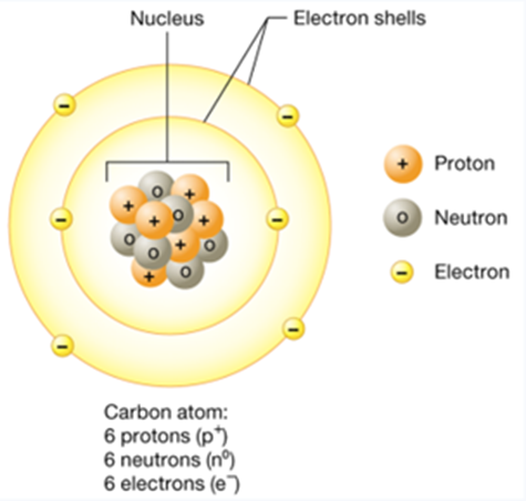 The structure of a representative neutron.