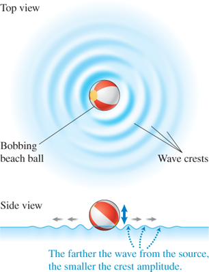 A top view of waves produced by a bobbing beach ball.